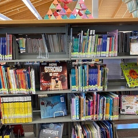 Book display at the Library
